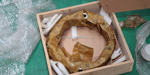 Piezas de Motor Hidráulico de Pistones Radiales MS11 MS18 MSE18 MS20 MS32 MS25 MS35 MS40 MS50, Rotor, Anillo de Leva, Estator en Venta - Product Image 5