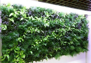 Panel de madera de boj artificial boj hedge artificial de milan hierba - Product Image 6