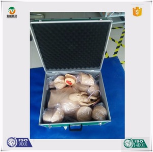 <span class=keywords><strong>Recursos</strong></span> Didácticos BIX-F50 simulador de nacimiento del parto con todas las funciones - Product Image 5