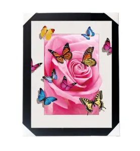 lenticular printing 5d picture of butterfly