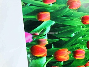 3P Ngọc Trai Dệt <span class=keywords><strong>Backlit</strong></span> Vải Quảng Cáo Không Khung Cho Hộp Đèn LED - Product Image 3