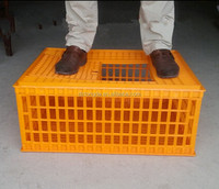 Cage de Transport professionnelle pour poules, d'oie et bouillettes avec certificat CE, livraison gratuite