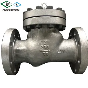 SS316 DN100 PN16 Kas Check Valve