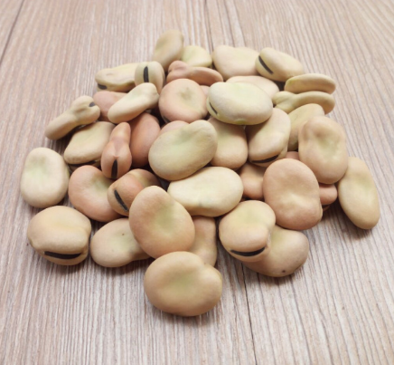 dried broad bean/fava bean for sale