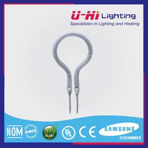 Clase A shorwave lámpara halógena <span class=keywords><strong>de</strong></span> tungsteno 1500 w 1000 w <span class=keywords><strong>precio</strong></span> - Product Image 4