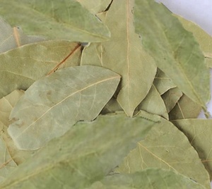 Hoja <span class=keywords><strong>de</strong></span> <span class=keywords><strong>Canela</strong></span> Seca Verde Natural Rou Gui Ye para Especias <span class=keywords><strong>de</strong></span> Barbacoa - Product Image 2