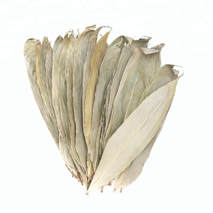 ใบไผ่แห้งคัดพิเศษ 12 ออนซ์/ถุง - Product Image 4