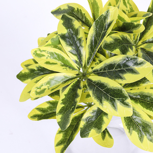 Decorative per interni pianta in vaso marcatura artificiale dieffenbachia verde piccola pianta in vaso bonsai - Product Image 3