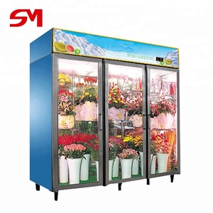 Vitrine Réfrigérée pour Fleurs à l'Apparence Élégante, avec Contrôle Numérique, Étagères Réglables, Conception à 2 Portes - Vente Flash - Product Image 5