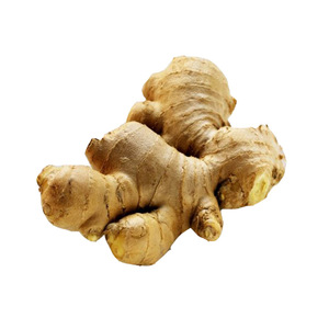 <span class=keywords><strong>Si</strong></span> compras jengibre seco - Product Image 3