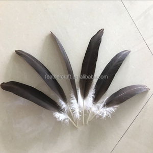 판매를 위한 다른 크기를 가진 대중적인 독수리 깃털 - Product Image 2