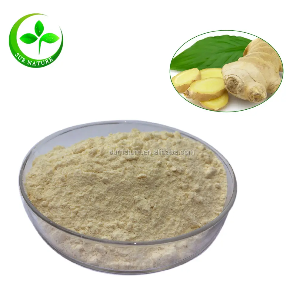 Factory Supply Ginger Root Extract Gingerol Powder / Ginger Tea Powder