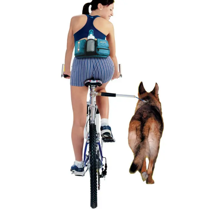שטח מלוטש סגסוגת כלב אופניים רצועות מכירה לוהטת באיכות גבוהה אופניים ללטף בחוץ כלב רצועה