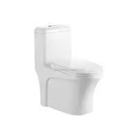 Toilette siphon en céramique Roca, dispositif de toilette créatif et raffiné, avec des composants supplémentaires, nouvelle collection