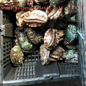 Bào Ngư/Thùng Hàu (BYK-1)/Giỏ Doanh Thu - Product Image 4