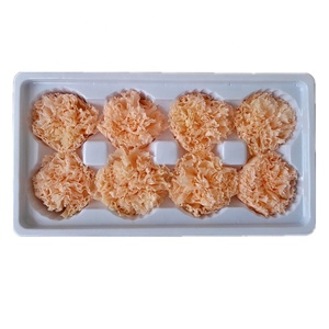 Crisantemos Preservados de 4-5 cm, Más de 20 Colores para el Día de la Madre, San Valentín, Graduación, Navidad, Año Nuevo - Product Image 6