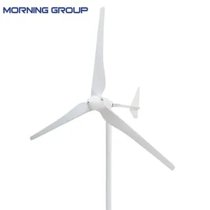 Turbina generadora de viento, serie L, 1kw, 2kw, 48V, 96V, molino de viento con cuchillas de plástico reforzado con fibra de vidrio