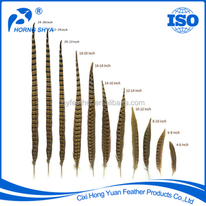 En gros <span class=keywords><strong>Pas</strong></span> <span class=keywords><strong>Cher</strong></span> Naturel et Coloré À <span class=keywords><strong>Collier</strong></span> de Queue de Faisan Plumes - Product Image 1