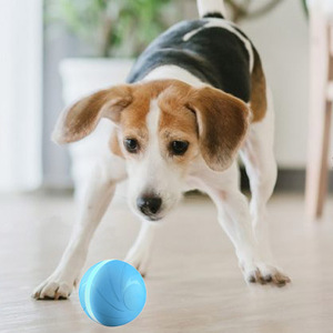 Bola Fungsional Besar Kualitas Bagus Untuk Anjing Peliharaan Yang Dapat Dikunyah Mainan Anjing Yang Chuck It Bola Anjing