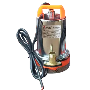 12 Volt Motor kleine Gleichstrom-Wasserpumpen 12 V landwirtschaft liche Batterie pumpe
