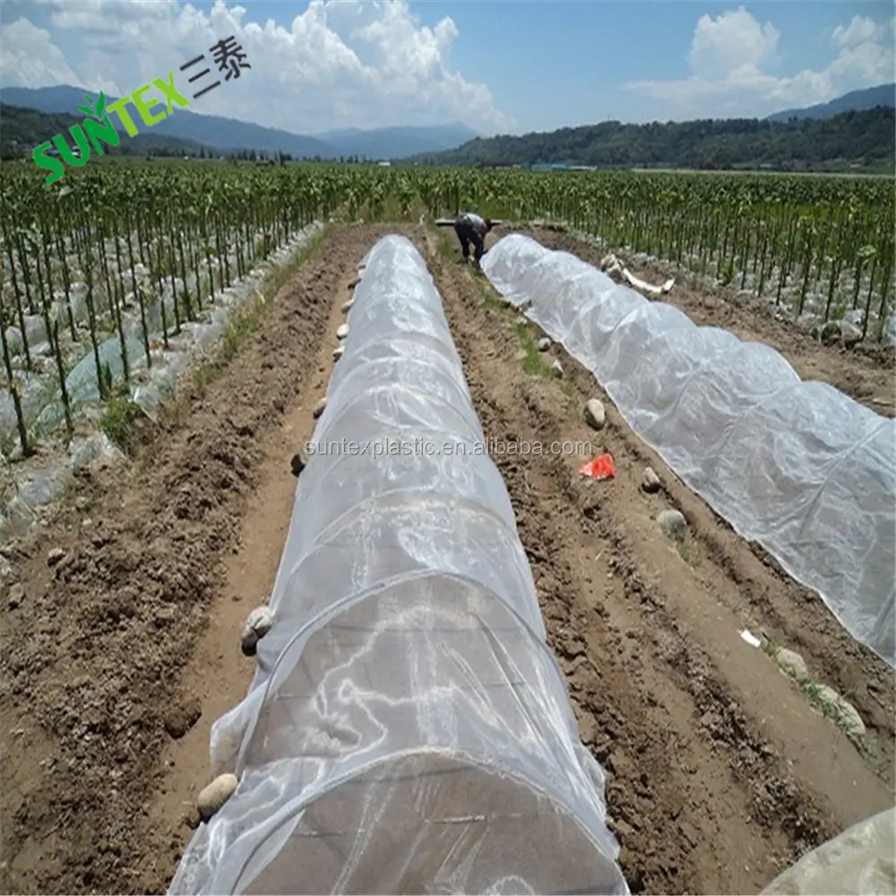 कृषि 5 साल उपयोग कीट से बचाने वाली क्रीम नेट/20x10 विरोधी एफिड नेट/ग्रीनहाउस कवर 50 जाल विरोधी कीट शुद्ध