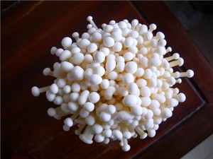 Fabrication de champignons frais flammulina velutipes/<span class=keywords><strong>enokitake</strong></span>/champignons aiguille - Product Image 3