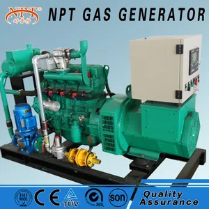 Propane Gas Generator China CE Silent 25KW 20kva Natural Gas Propane Generator Price