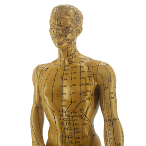 Antique <span class=keywords><strong>Bronze</strong></span> HD châm cứu con người mô hình y học cổ truyền Trung Quốc Bảo tàng trang trí huyệt rõ ràng - Product Image 5