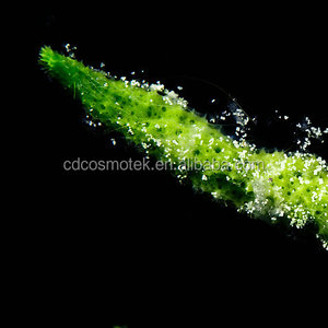 Polvo de Espículas al 99% para Peeling Facial en Clínica Dermatológica - Product Image 3