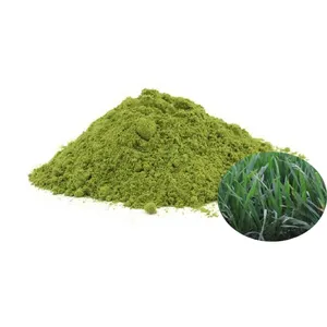 Pure Natural Wheat Grass Powder Barley Grass Powder Wheatgrass Juice Powder