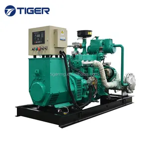 Produzione combinata di calore ed potere cogenerazione chp generatore di biogas 30kw