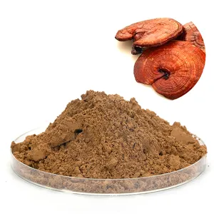 कम कीमत आसानी से अवशोषित सूखे Reishi मशरूम बीजाणु पाउडर Reishi कार्बनिक निकालने - Product Image 4