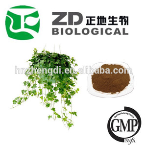 l hederahelix souchesde leaf extract poudre hederacoside c - Product Image 1