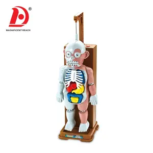 HUADA 2023 Children Assembly Games Science Monster Halloween DIY Human Body Model Toy for Kids