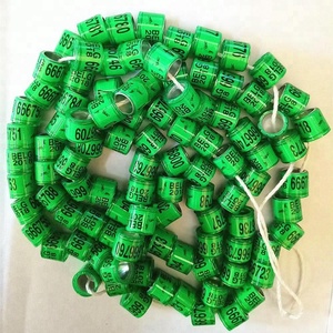 ญี่ปุ่นพิกษัตริย์แหวน2019 - Product Image 6