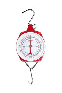 <span class=keywords><strong>100kg</strong></span> <span class=keywords><strong>200kg</strong></span> hängen frühling skala - Product Image 2