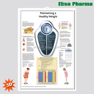 Giáo dục Nhựa 3D Y Tế Antomical Duy Trì Một Khỏe Mạnh Trọng Lượng Biểu Đồ/Poster - Product Image 1