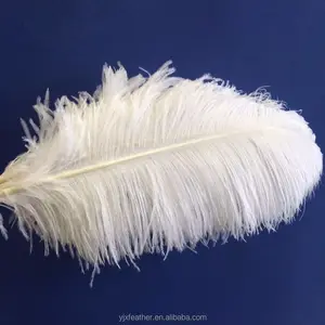 China wholesale 55-60cm white ostrich feather for wedding decoration