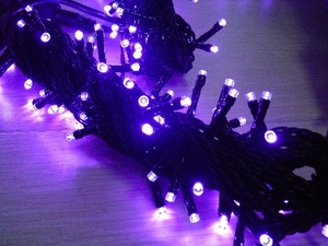 <span class=keywords><strong>Festival</strong></span> de la luz <span class=keywords><strong>100</strong></span> leds AC <span class=keywords><strong>cadena</strong></span> navidad de luz led - Product Image 2