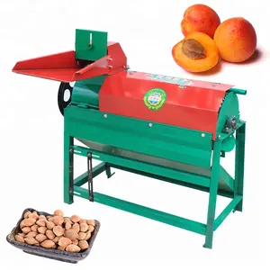 Apricot peeling machine almond separate machine Almond meat and Kernel separator machine