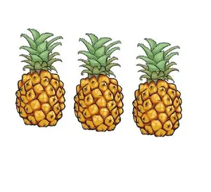 pineapple peeling coring canned juice production line processing machine