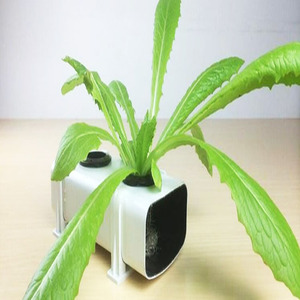 Canal hidropónico usado, sistema hidropónico <span class=keywords><strong>casero</strong></span> - Product Image 3