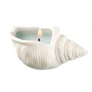 OEM Wholesale custom home decor new-coming hot sale rare carving ceramic sea shells