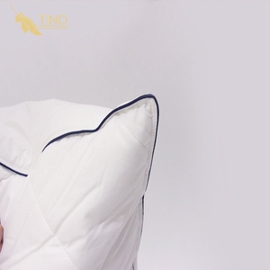 Cheap soft down fabric 100% cotton duck down goose feather hotel pillow inner/pillow cases White - Product Image 5