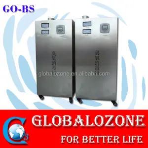30 G generador de ozono usado como industrial máquina de esterilización del ozono