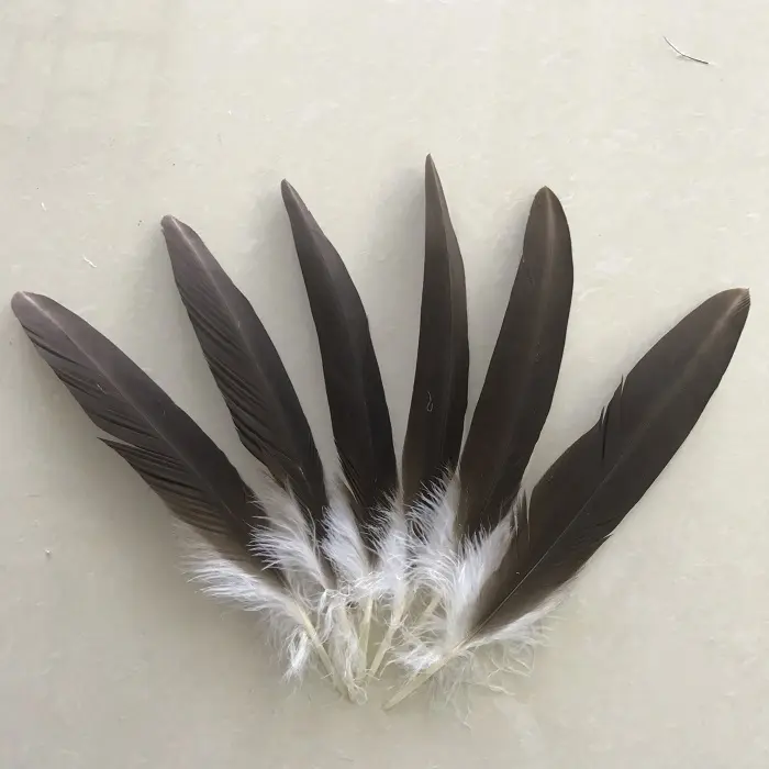 Atacado 11-14 polegadas/30-35cm Naturais Penas de Águia condor pena, Decoração DIY Mostrar