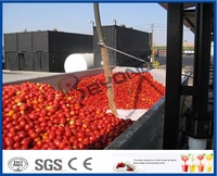 Tomaat plakken, tomaat sap, tomatenketchup, tomaat jam verwerking lijn verse tomaat verwerking machine