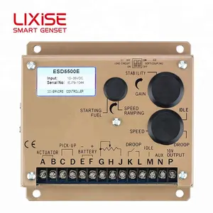 LIXiSE Máy Phát Điện Động Cơ Bảng Điều Khiển Tốc Độ ESD5500E Tốc Độ Đốc ESD5500