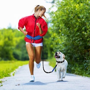 Correa de nailon para perro, accesorio manos libres para correr, cuerda elástica retráctil con bolsa para la cintura, venta al por mayor - Product Image 6