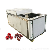 Petite machine à dénoyauter les olives professionnelle, prix de la machine à dénoyauter les olives